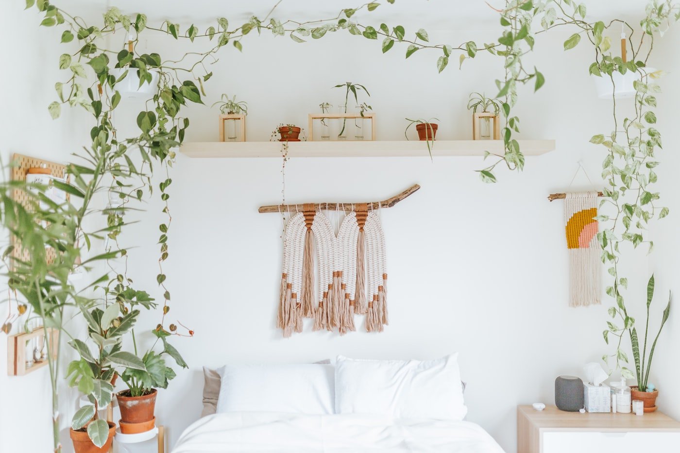 Boho living room with a tall floor plant, a mid-height plant on a stool and trailing plants on a shelf