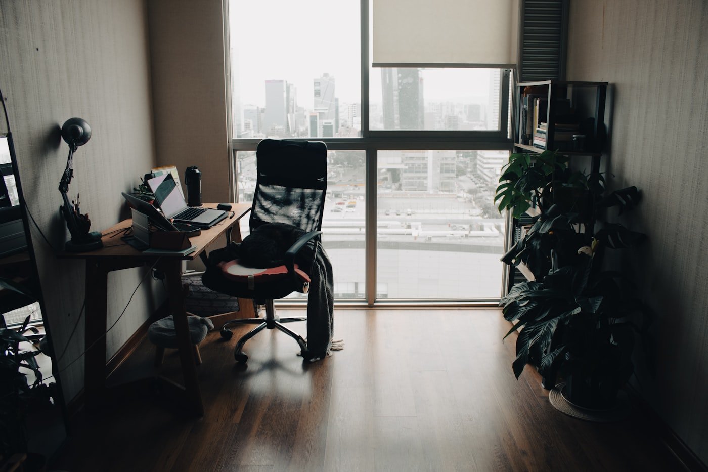 Desk with an adjustable black task lamp and a small plant